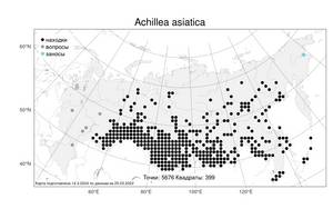 Achillea asiatica Serg., Atlas of the Russian Flora (FLORUS) (Russia)