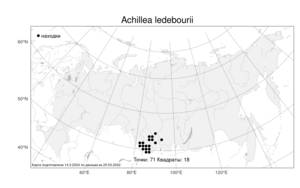 Achillea ledebourii Heimerl, Atlas of the Russian Flora (FLORUS) (Russia)