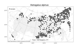 Astragalus alpinus L., Atlas of the Russian Flora (FLORUS) (Russia)