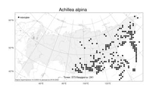 Achillea alpina L., Atlas of the Russian Flora (FLORUS) (Russia)