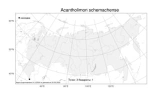 Acantholimon schemachense Grossh., Atlas of the Russian Flora (FLORUS) (Russia)