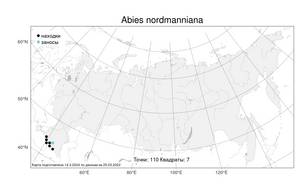 Abies nordmanniana (Steven) Spach, Atlas of the Russian Flora (FLORUS) (Russia)