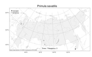 Primula saxatilis Kom., Atlas of the Russian Flora (FLORUS) (Russia)