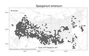 Sparganium emersum Rehmann, Atlas of the Russian Flora (FLORUS) (Russia)