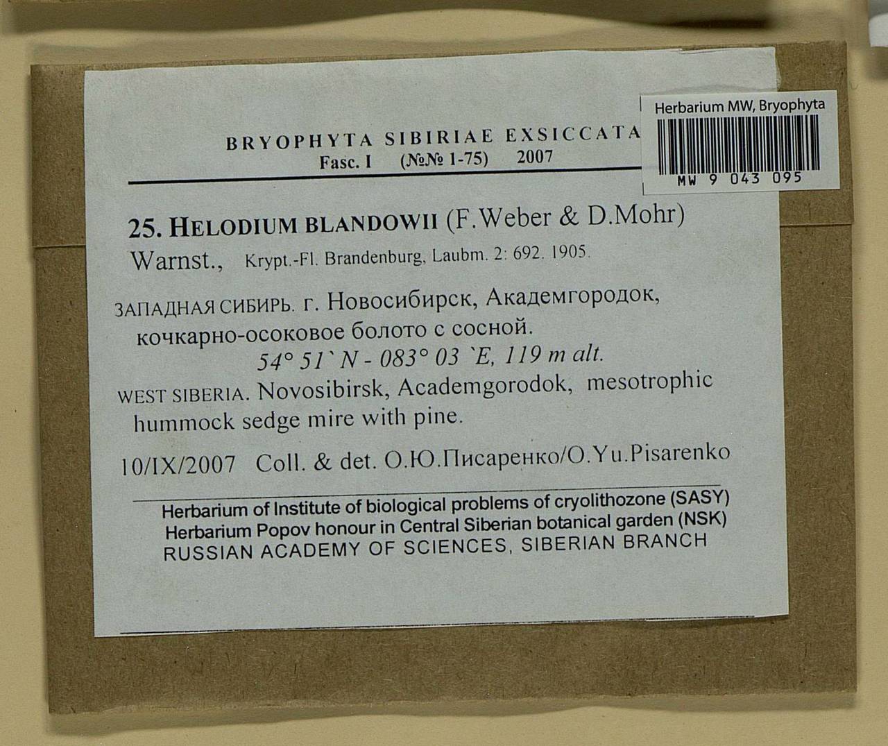 Автосалон сиберия новосибирск отзывы. Helodium blandowii.