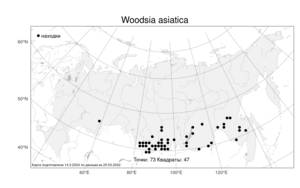 Woodsia asiatica, Вудсия азиатская Kiselev & Shmakov, Атлас флоры России (FLORUS) (Россия)