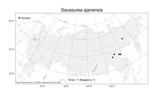 Saussurea ajanensis, Соссюрея аянская Lipsch., Атлас флоры России (FLORUS) (Россия)
