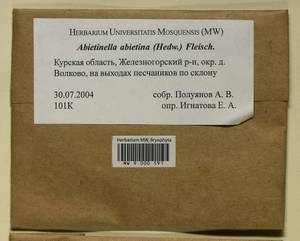 Abietinella abietina (Hedw.) M. Fleisch., Гербарий мохообразных, Мхи - Центральное Черноземье (B10) (Россия)