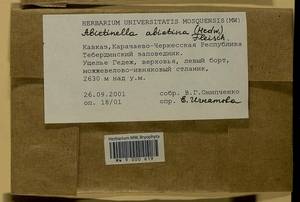 Abietinella abietina (Hedw.) M. Fleisch., Гербарий мохообразных, Мхи - Северный Кавказ и Предкавказье (B12) (Россия)