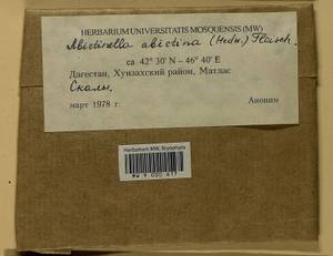 Abietinella abietina (Hedw.) M. Fleisch., Гербарий мохообразных, Мхи - Северный Кавказ и Предкавказье (B12) (Россия)