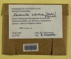 Abietinella abietina (Hedw.) M. Fleisch., Гербарий мохообразных, Мхи - Северный Кавказ и Предкавказье (B12) (Россия)