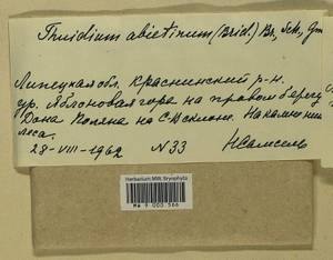 Abietinella abietina (Hedw.) M. Fleisch., Гербарий мохообразных, Мхи - Центральное Черноземье (B10) (Россия)