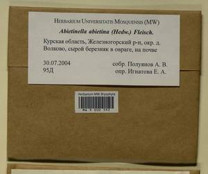 Abietinella abietina (Hedw.) M. Fleisch., Гербарий мохообразных, Мхи - Центральное Черноземье (B10) (Россия)