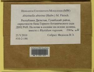 Abietinella abietina (Hedw.) M. Fleisch., Гербарий мохообразных, Мхи - Северный Кавказ и Предкавказье (B12) (Россия)