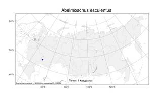 Abelmoschus esculentus (L.) Moench, Атлас флоры России (FLORUS) (Россия)