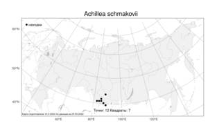Achillea schmakovii Kupr., Атлас флоры России (FLORUS) (Россия)