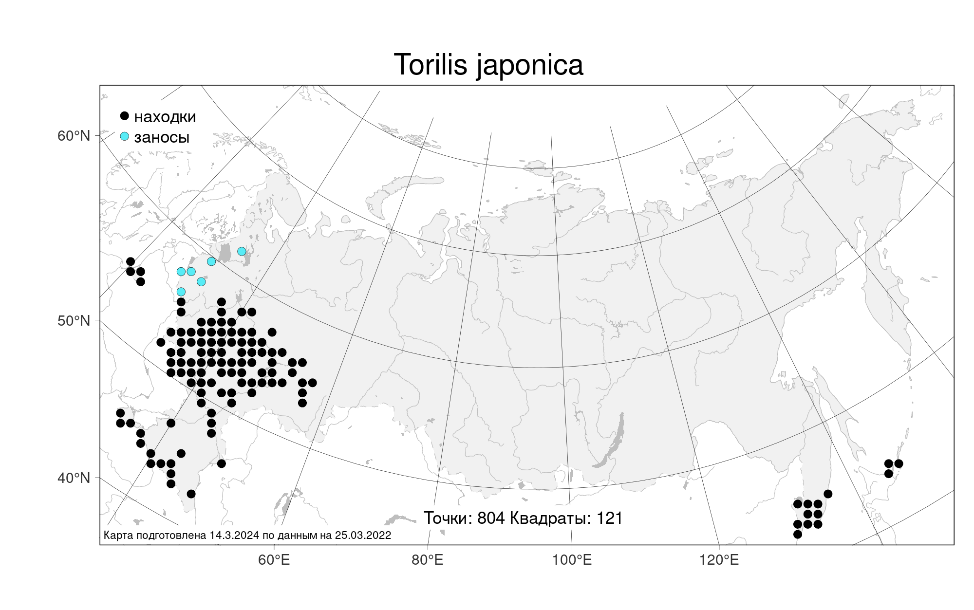Каким ожидается май 2024 в москве. Торилис японский.
